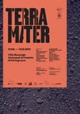 Terramater